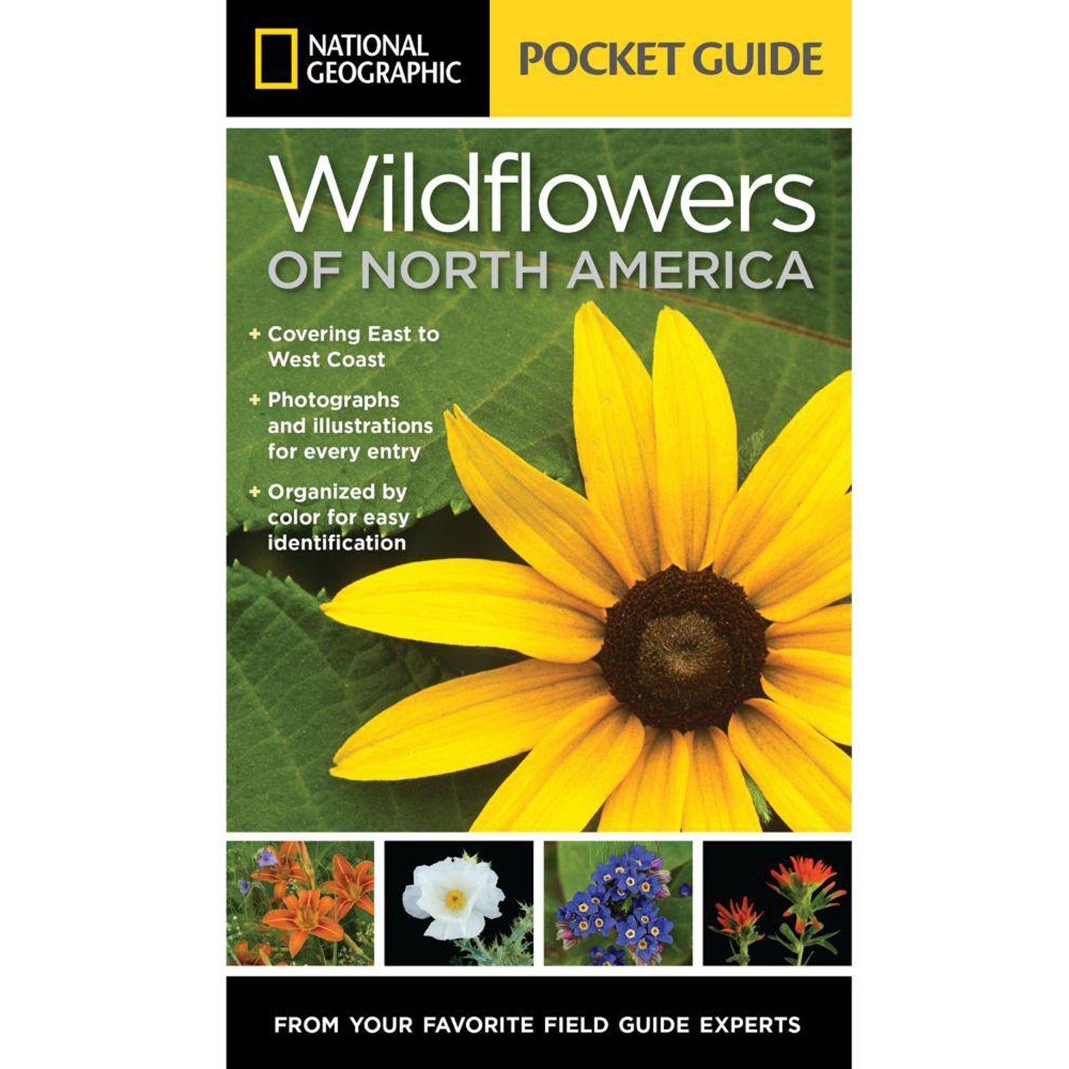 Pocket Guide To Wildflowers Of North America